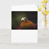 Abeille, carte (Fleur jaune)