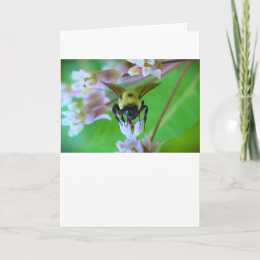 Abeille, carte (Devant)