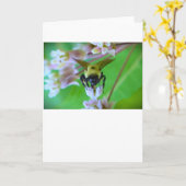 Abeille, carte (Fleur jaune)