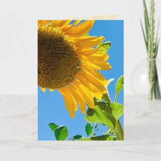 Abeille dans le tournesol 5x7 penser à votre carte