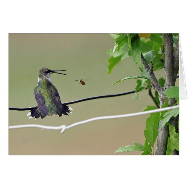 Abeille de colibri et de miel (Devant Horizontal)