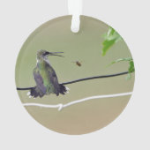 Abeille de colibri et de miel (dos)