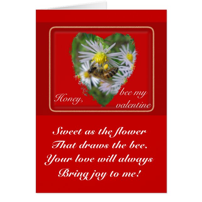 Abeille de miel sur Asters Valentine (Devant)