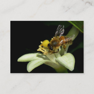 Abeille de miel sur la carte d'ATC de fleur de