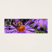 Abeille de miel sur la fleur d'aster violet Mini S (Devant)