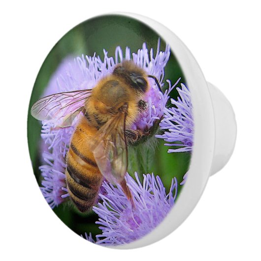 Abeille de miel sur le bouton en céramique (Droite)