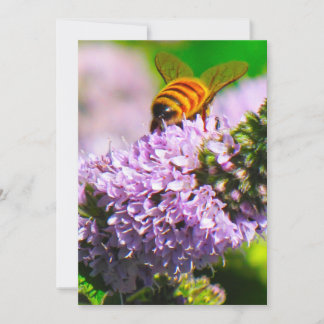 Abeille de vol 5 x 7 cartes de voeux d'expression/