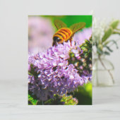 Abeille de vol 5 x 7 cartes de voeux d'expression/ (Debout devant)