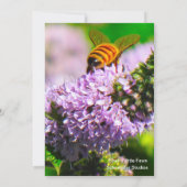 Abeille de vol 5 x 7 cartes de voeux d'expression/ (Dos)