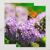 Abeille de vol 5 x 7 cartes de voeux d'expression/ (Devant / Derrière)