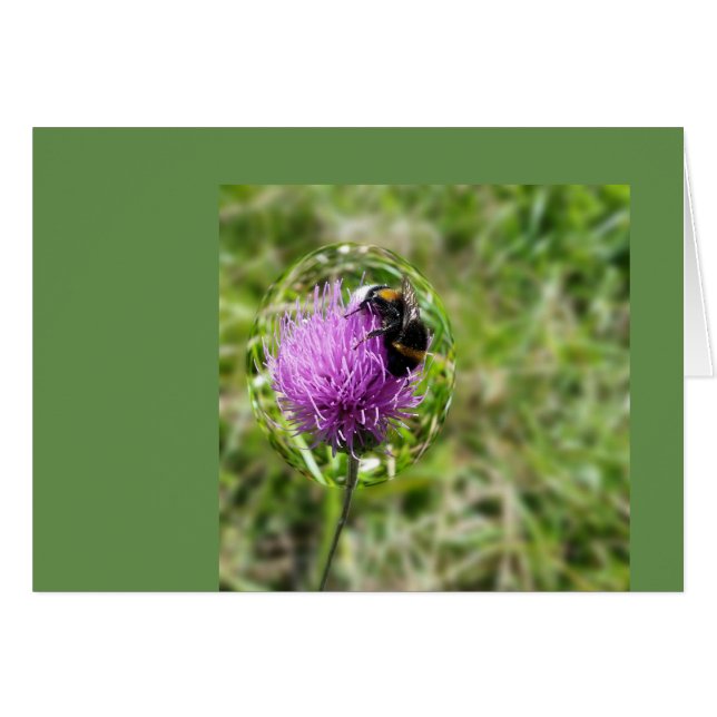 Abeille en bulle (Devant horizontal)