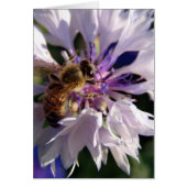 Abeille et fleurs bleues (Devant)