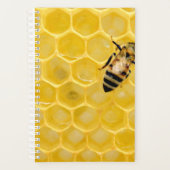 abeille et nid d'abeille (Devant)