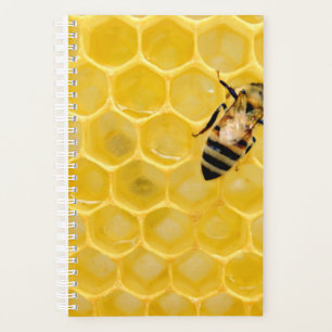 abeille et nid d'abeille