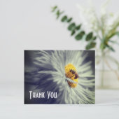 Abeille Gros Plan Sur Fleur Carte Postale De Remer (Debout devant)