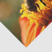 Abeille indigène dans un papier de soie de soie (Détail)