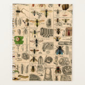 Abeille Insecte Bug Wasp Nature Peinture des abeil (Devant)