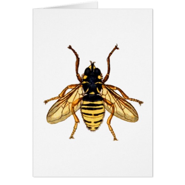 Abeille jaune vintage (Devant)