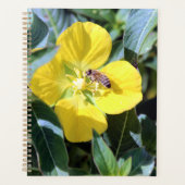 Abeille occupée (Devant)
