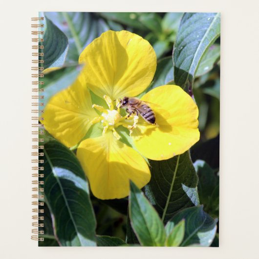 Abeille occupée (Devant)