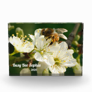 Abeille & Prune Blanche Macro Bloc Photo Personn