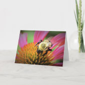 Abeille sur coneflower, carte (Devant)