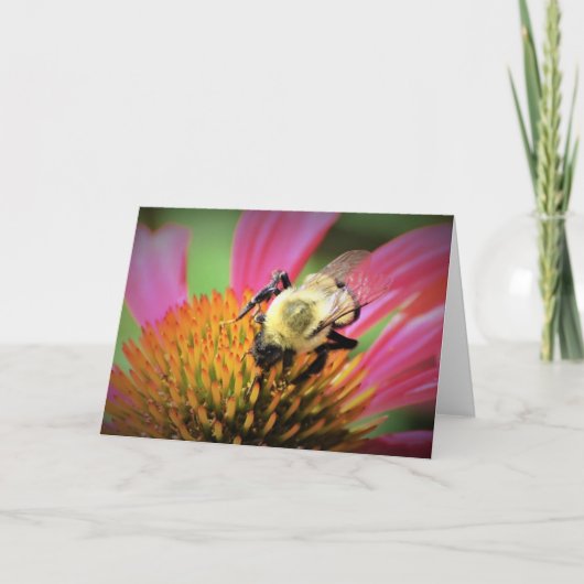 Abeille sur coneflower, carte (Devant)