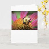 Abeille sur coneflower, carte (Fleur jaune)
