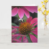 Abeille sur coneflower, carte (Fleur jaune)