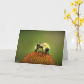 Abeille sur coneflower, carte (Fleur jaune)