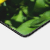 Abeille sur Fleurs Jaunes (Coin)