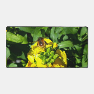 Abeille sur Fleurs Jaunes