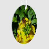 Abeille sur Fleurs Jaunes (devant)