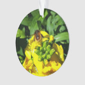 Abeille sur Fleurs Jaunes (devant)