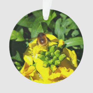 Abeille sur Fleurs Jaunes
