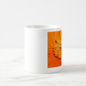 abeille sur la tasse de fleurs d'orange (Centre)