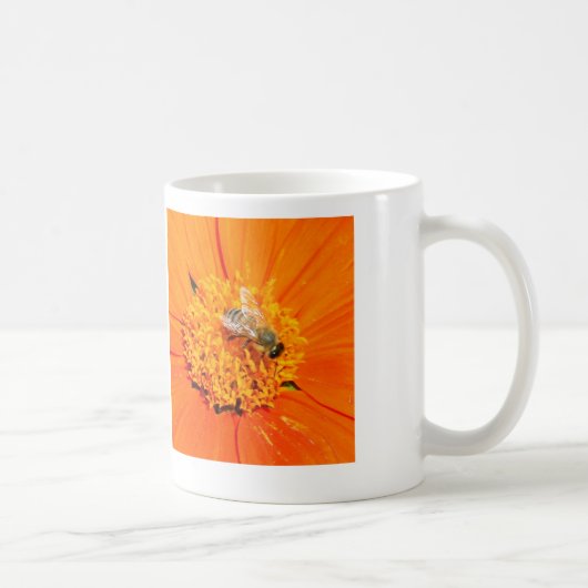 abeille sur la tasse de fleurs d'orange (Droite)