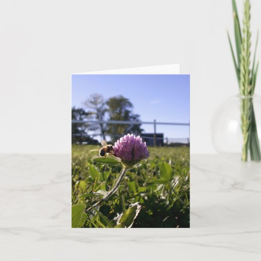 Abeille sur le carte pour notes de trèfle (Devant)