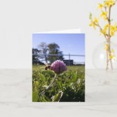 Abeille sur le carte pour notes de trèfle (Fleur jaune)