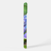 Abeille sur Muscari Armeniacum, Grape Hyacinth (Côté droit)