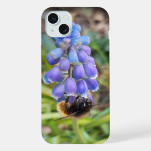 Abeille sur Muscari Armeniacum , Muscari d'Arménie
