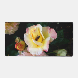 Abeille sur roses rose jaune Fleurs