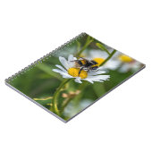 Abeille sur un carnet de marguerite blanche (Côté gauche)