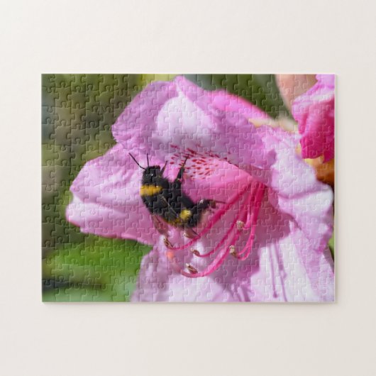 Abeille sur un Rhododendron rose puzzle (Horizontal)