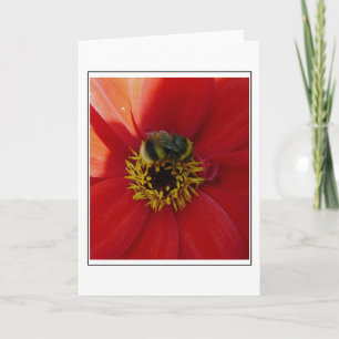 Abeille sur une carte de voeux aux fleurs rouges