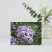 Abeille sur une carte postale de lilas (Debout devant)