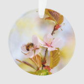 Abeille sur une fleur de cerisier (devant)