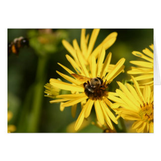 Abeilles