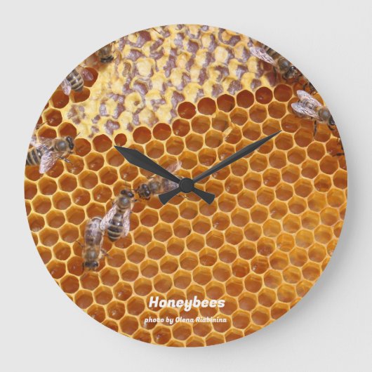 Abeilles de miel dans la ruche grande horloge (Recto)