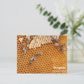 Abeilles domestiques sur carte postale de la ruche (Debout devant)